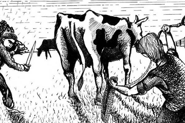 Cuatreros nocturnos faenaron dos vacas en una estancia de Guasayaacuten