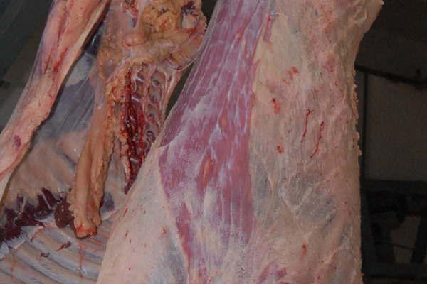 Menores ingresaron a una carniceriacutea y se llevaron mercaderiacutea