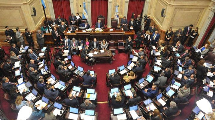 El Senado optoacute por el no a la legalizacioacuten del aborto