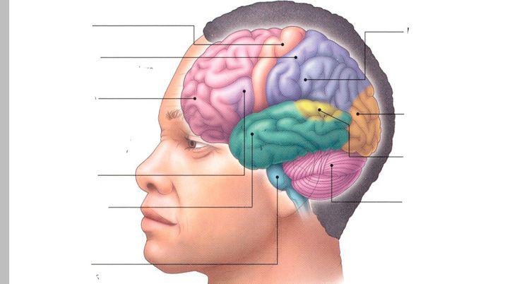Sistema Liacutembico