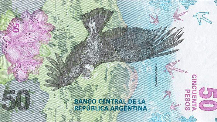 Coacutendor andino- asiacute es el nuevo billete de 50 pesos