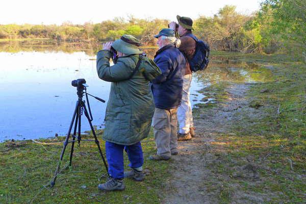 Informe sobre un ave exoacutetica genera intereacutes por visitar Santiago del Estero