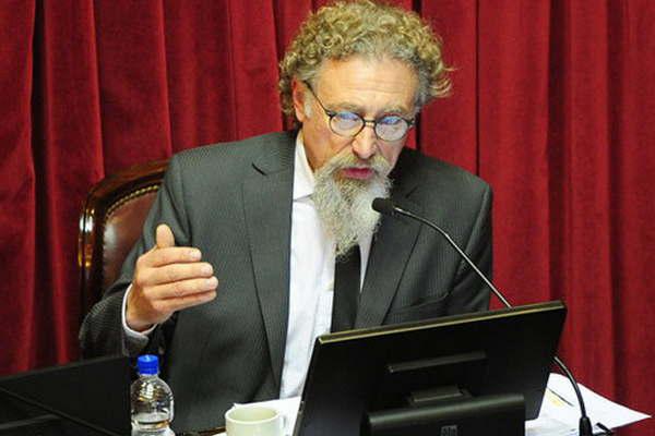 Un senador presentaraacute una nueva iniciativa para tratar el aborto