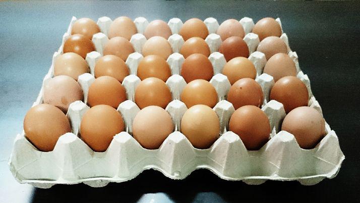 Aumentoacute un 125-en-porciento- el precio de los huevos de gallina y una docena es 5 maacutes cara