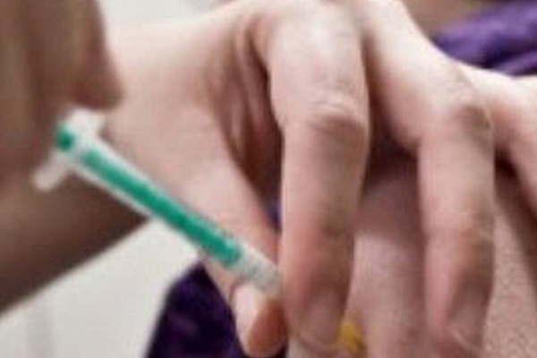 Virus estrenaraacute un nuevo capiacutetulo- La gripe 