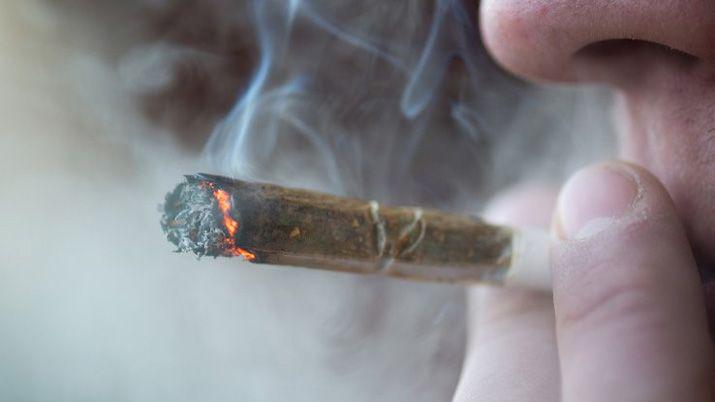 VIDEO Fumoacute marihuana antes de conducir un micro de egresados