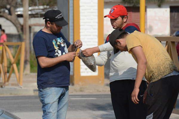 La flor es la parte maacutes pura y cara