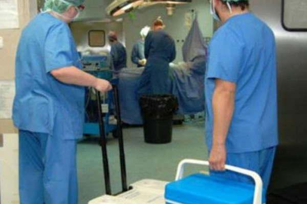 En agosto se marcoacute un reacutecord histoacuterico  de donantes y trasplantes de oacuterganos 