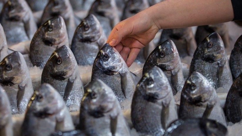 Venden pescado con lentes de contacto para ocultar su mal estado y atraer clientes