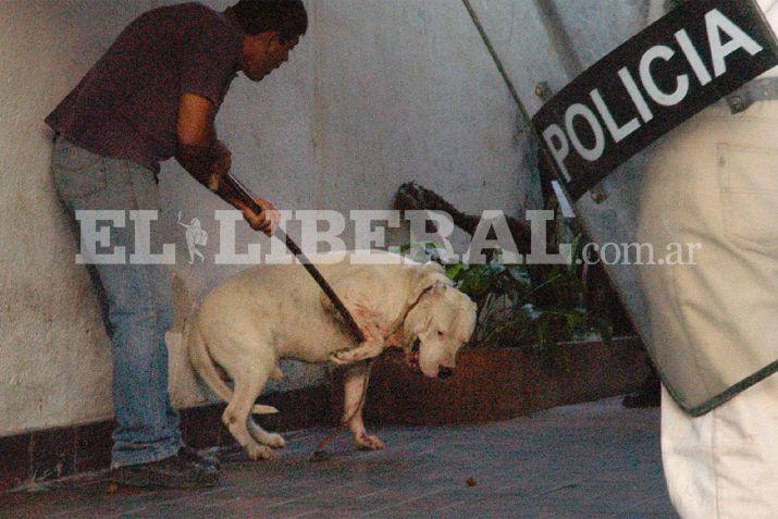 La mujer fue auxiliada por vecinos a raíz del ataque