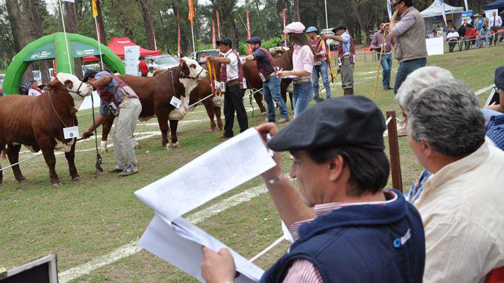Se realizoacute la apertura de la Expo Bra