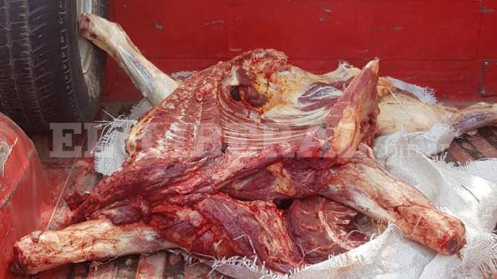 Los Juriacutees- decomisaron carne de dudosa procedencia