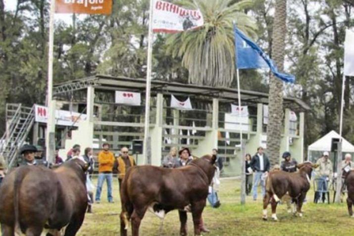 La subasta de los ejemplares tuvo lugar en las instalaciones del Vivero San Carlos de la ciudad de La Banda
