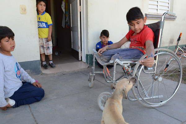Todo el barrio lo protege se ganoacute el corazoacuten de los vecinos