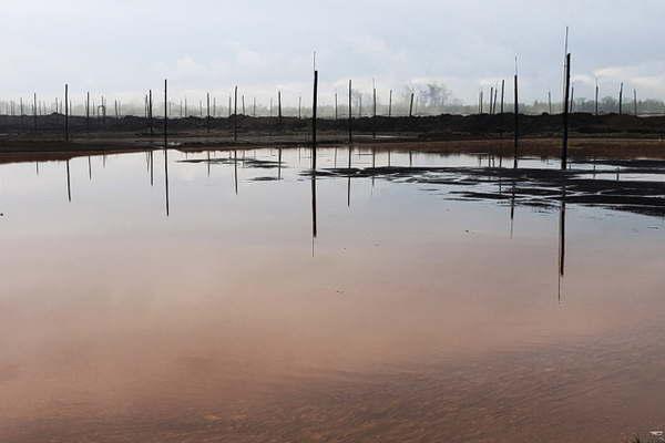 Nuevas inspecciones a industrias azucareras y alcoholeras de Tucumaacuten