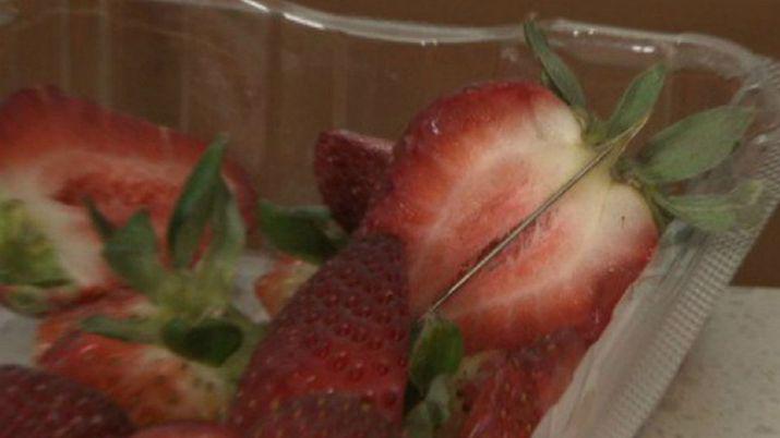 Alerta por la aparicioacuten de agujas escondidas en frutillas