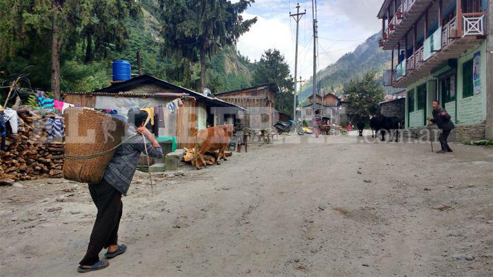 Imgenes impactantes del Cordón del Himalaya