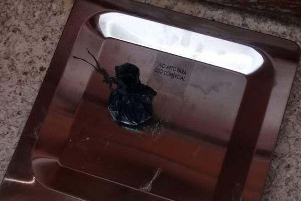 Sorprenden a cinco joacutevenes con bagullos  de droga en su poder