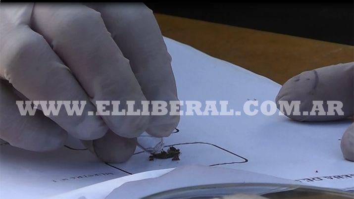 Video- las pruebas que confirmaban el secuestro de 87 kilos de marihuana