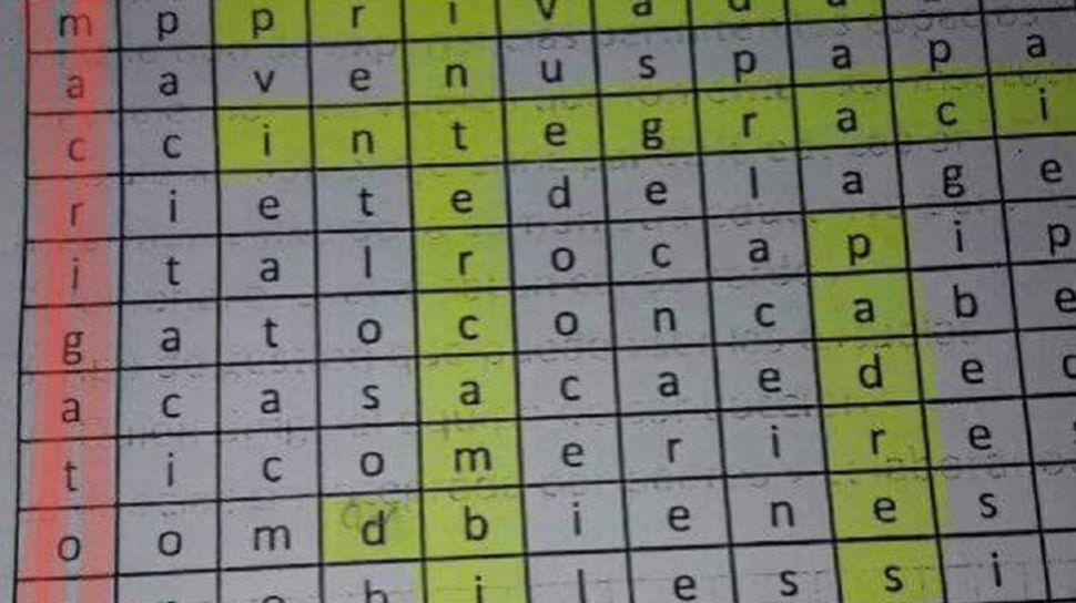 El crucigrama que un profesor preparoacute para sus alumnos y dice Macri gato