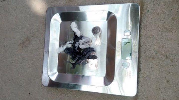 Cinco joacutevenes fueron detenidos tras encontrarles envoltorios con marihuana