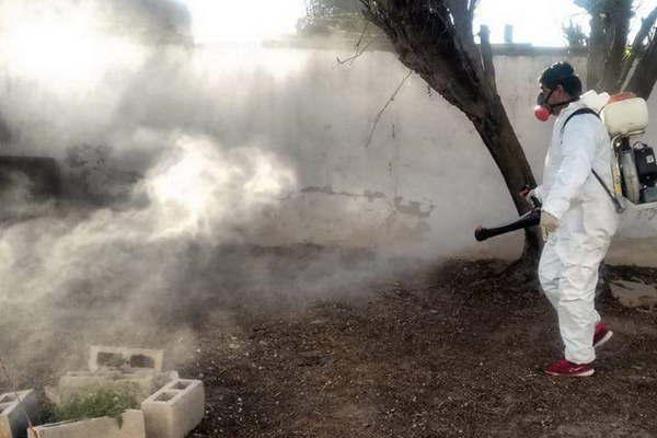 La municipalidad realiza trabajos de fumigacioacuten y desinfeccioacuten en barrios