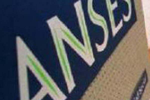 Anses- aclararon quieacutenes seraacuten los que no cobraraacuten el Bono Navidentildeo de 1500