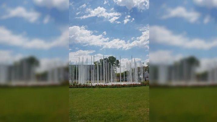 Insoacutelito- se apagoacute la antorcha de los JJOO de la Juventud