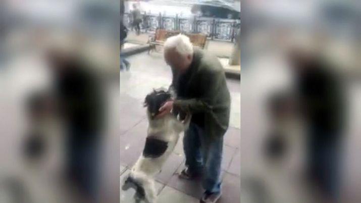 VIDEO Un hombre se reencontroacute con su perro luego de tres antildeos