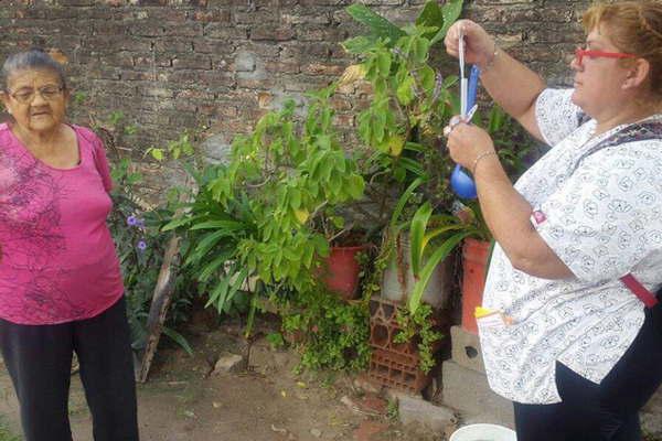 Sigue el relevamiento de larvas del Aedes aegypti y de posibles criaderos