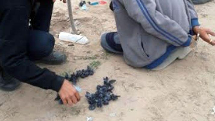 Detienen a dos dealers con 33 envoltorios de marihuana y cocaiacutena