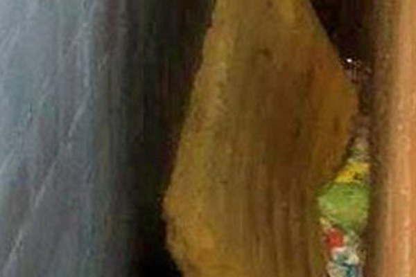 El cuerpo de la nintildea aparecioacute en un predio contiguo a la casa familiar