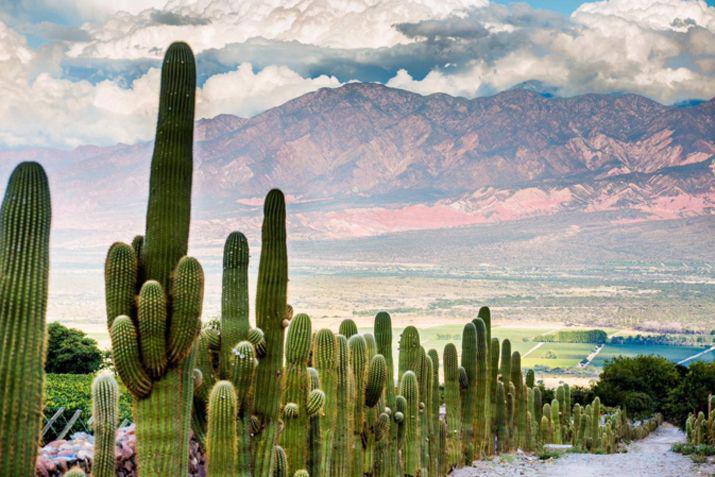 Los paisajes y atractivos salteños enamoran a todo el mundo