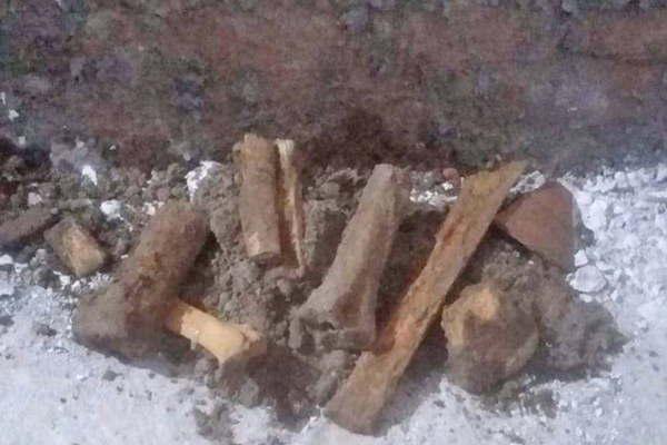Hallan huesos humanos en el Pasaje Castro y afirman que son antiguos