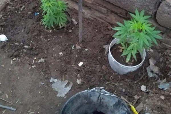 Allanan lavadero y descubren que funcionaba un quiosco de droga