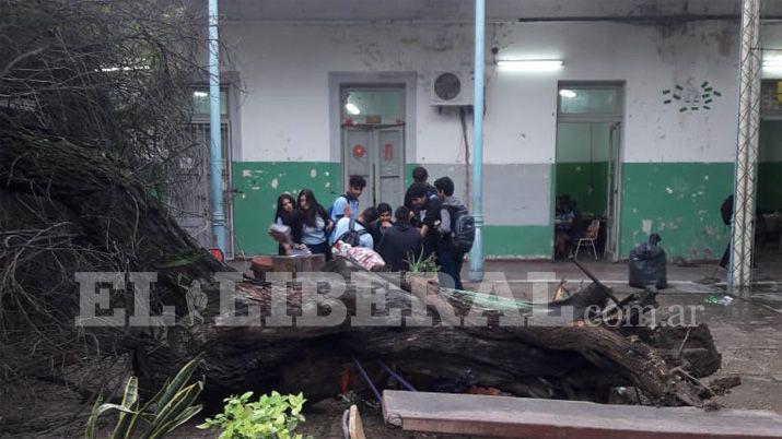 Tras las lluvias cayoacute un enorme aacuterbol del colegio Absaloacuten Rojas