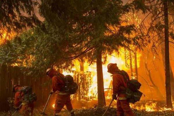Recrudece el fuego en California y ya hay 31 muertos