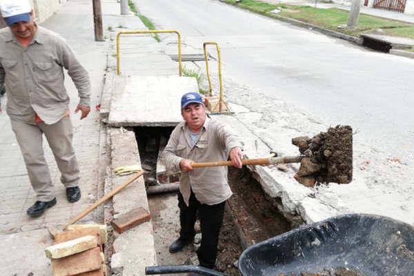 El municipio termense realiza trabajos de limpieza y desaguumles pluviales