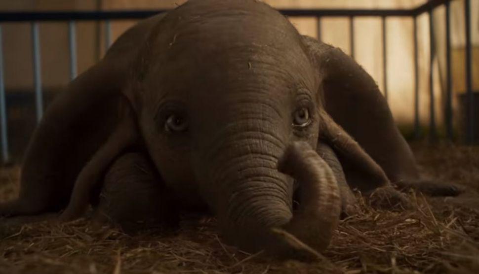 Disney lanzoacute el traacuteiler oficial de Dumbo