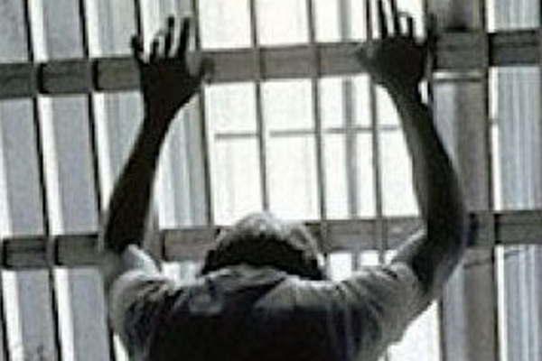 Vejaba al primo perras y cerdos