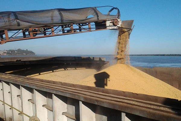 Ecolatina proyecta que volveraacute el superaacutevit de la balanza comercial 