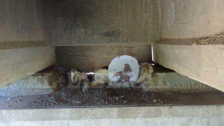 La ofrenda estaba debajo de un puente