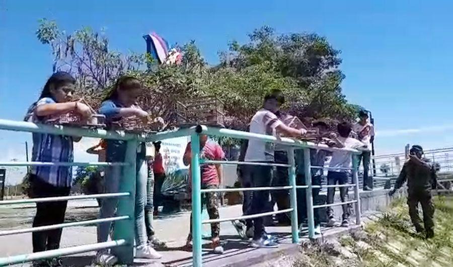 VIDEO Tara Inti- nintildeos ayudaron a liberar aves rescatadas en Las Termas