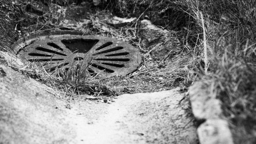 Viral- Captan a un monstruo de alcantarilla