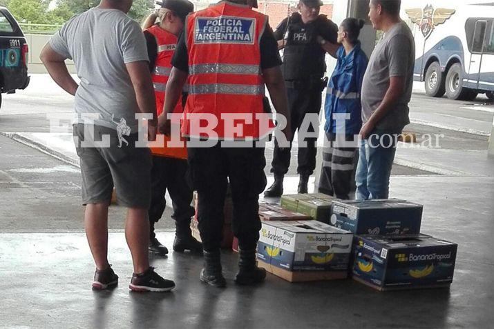 Las aves fueron incautadas cuando estaban por ser retiradas de Santiago del Estero