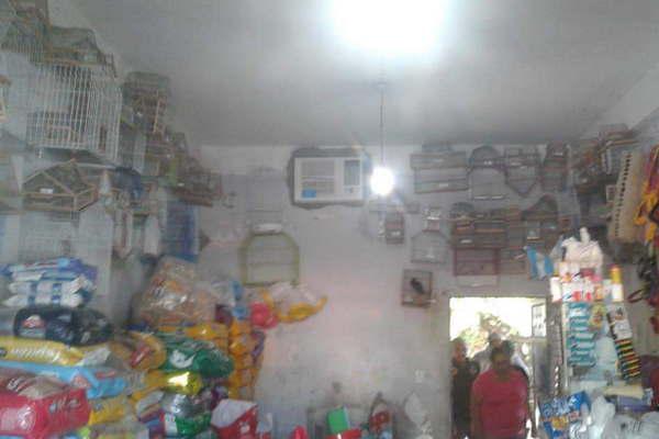 Rescataron maacutes de 200 aves comercializadas de manera ilegal en Las Termas