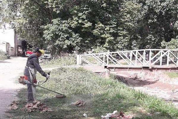 La comuna intensificoacute las tareas de desmalezamiento y limpieza en el Balneario Municipal