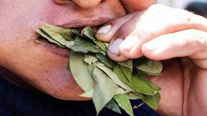 Se atragantoacute masticando hojas de coca y fallecioacute