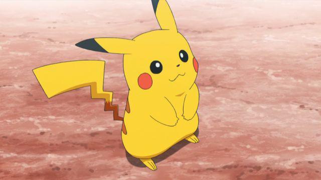 Pokeacutemon- Hallan un Pikachu de la vida real