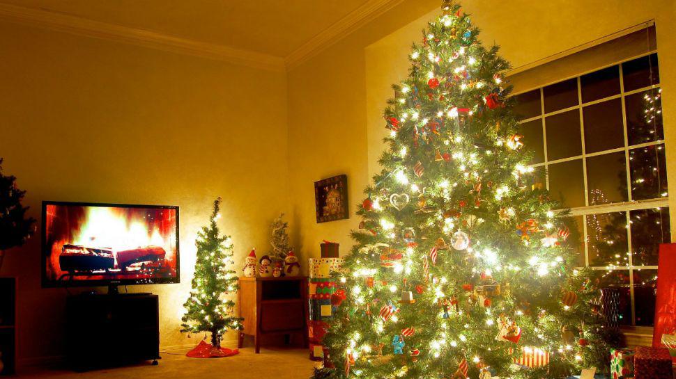 Conoceacute al aacuterbol de Navidad maacutes caro de Europa